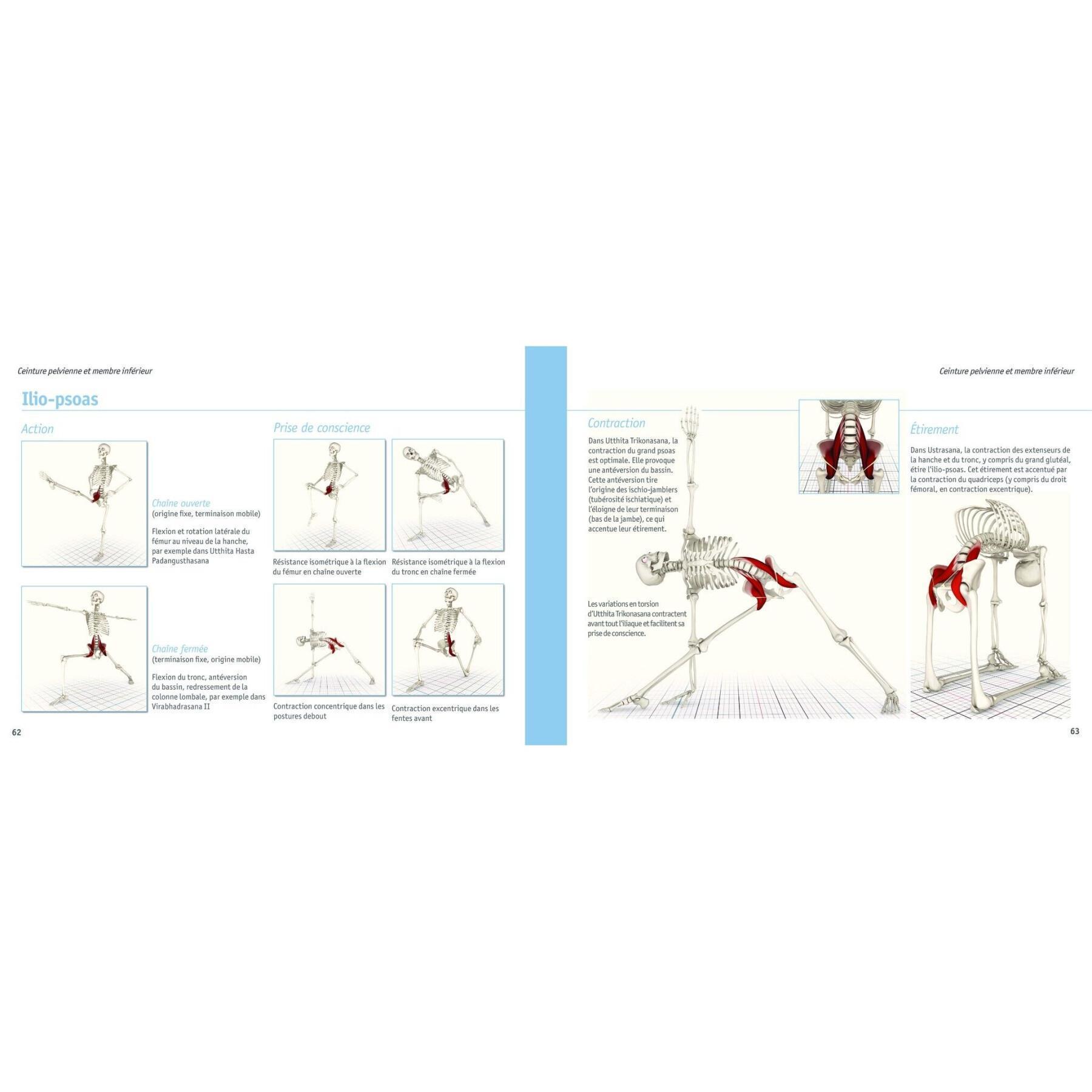 Libro anatomía-músculos del yoga Hachette