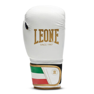 Guantes de boxeo Leone Italy 12 oz