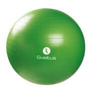 Gymball + caja Sveltus 65cm