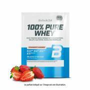 50 paquetes de proteína de suero 100% pura Biotech USA - Fraise - 28g